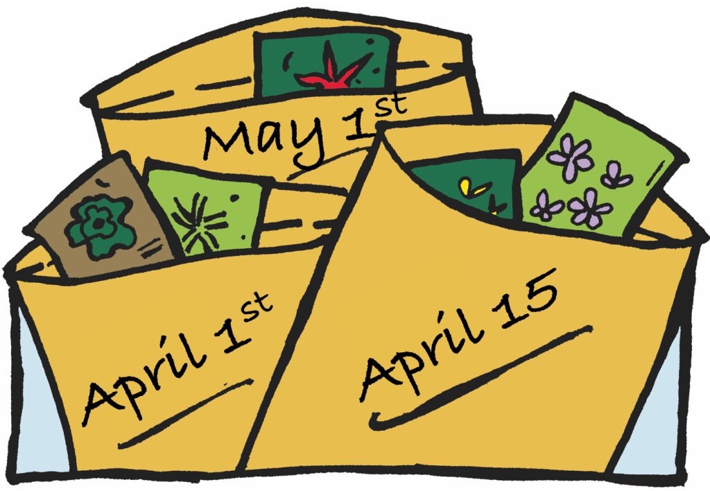 LaidbackGardner's tweet photo. Organize Your Seed Packets According to Their Sowing Date https://t.co/QNzAFehtvk https://t.co/Z8TP0QmzkL