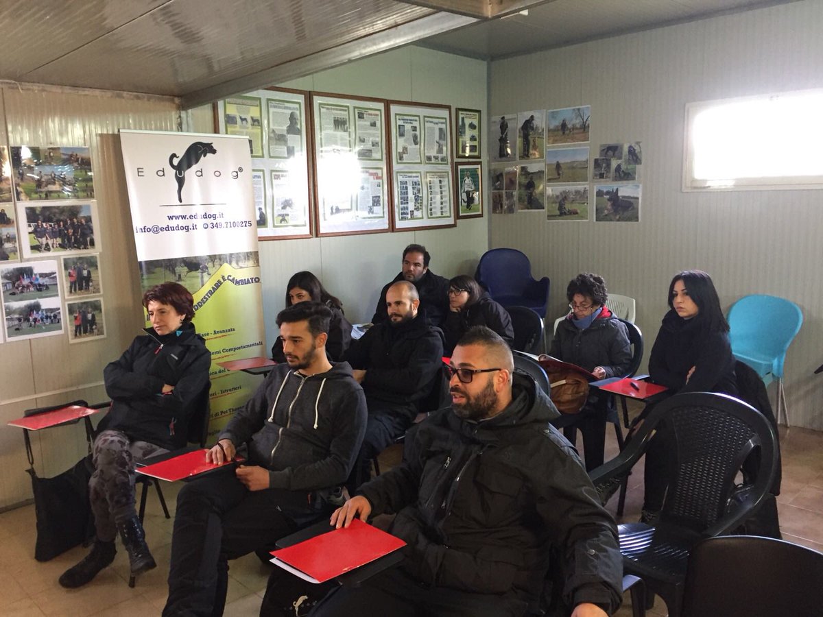 Edudog1's tweet image. Pronti, via! 🙌🏻 #Edudog
Inizia la due giorni con Simone Simonante e le sue lezioni per conoscere meglio i #rottweiler e #terrier da Presa di tipo Bull