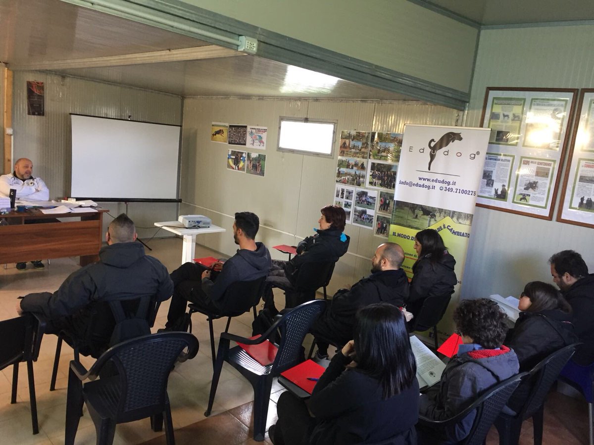 Edudog1's tweet image. Pronti, via! 🙌🏻 #Edudog
Inizia la due giorni con Simone Simonante e le sue lezioni per conoscere meglio i #rottweiler e #terrier da Presa di tipo Bull