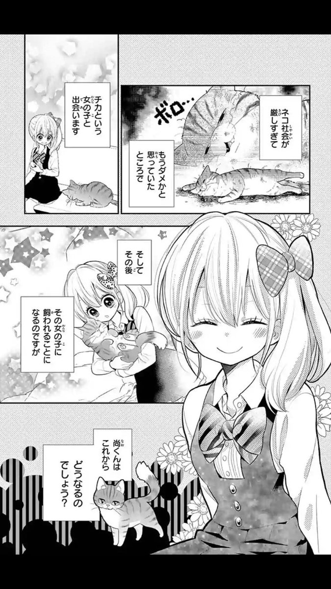 ねこはじめました ねこはじめました