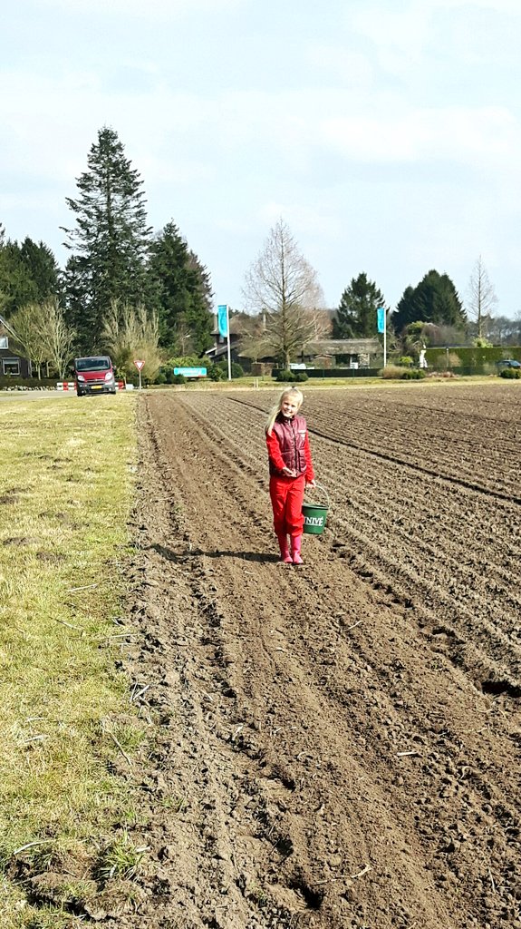 jrdejongodoorn's tweet photo. Vandaag het eerste bloemenmengsel gezaaid voor onze biodiversiteitsproef. Deze 3 jarige proef doen we samen met @BASFagronl,  @StVeldleeuwerik en @vlinderNL om te kijken welke insecten er in onze akkerbouw percelen te vinden zijn. https://t.co/eNmh3aH8N1