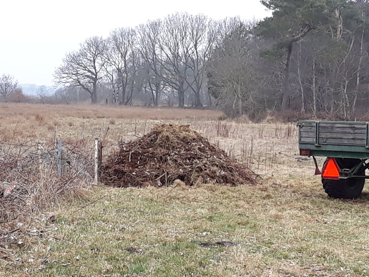 Mooie broeihoop geworden, al zeg ik het zelf, in het beekdal van de Slokkert #ringslangen kom maar op en zet je eieren er maar in af #broeihoop #stapsteen  #Kop_van_Drenthe <a href="/ivn_norg/">IVN Norg</a> <a href="/LBDrenthe/">Landschapsbeheer Drenthe</a> <a href="/staatsbosbeheer/">Staatsbosbeheer</a>