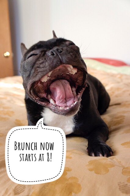 Morning, folks! We now open for brunch at 8 am on Saturday and Sunday!