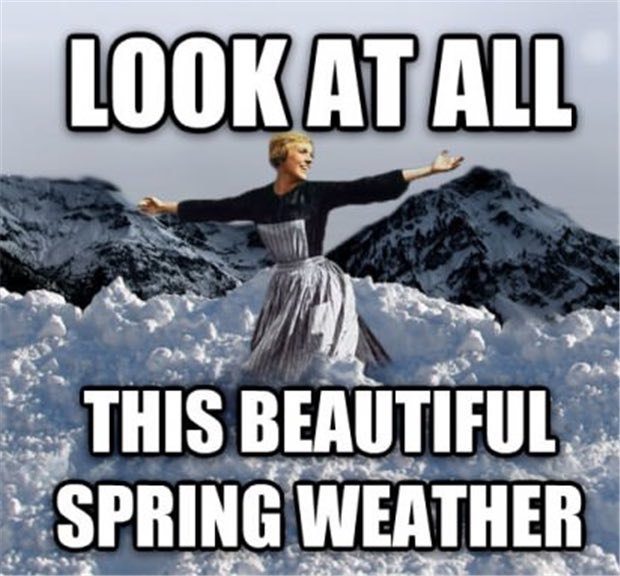 OliviaPurevich's tweet image. Meanwhile, in Indiana. #springhasnotsprung