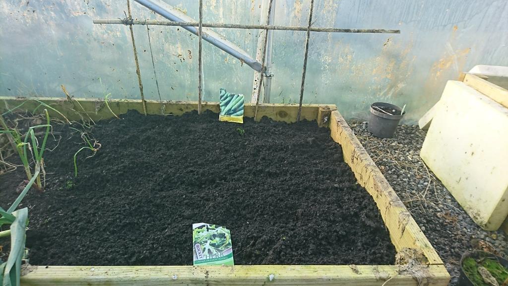 PolyTunnelDad's tweet photo. Amazing what a few weeks can do #gardening #Polytunnel https://t.co/5Yc9gjnnNv