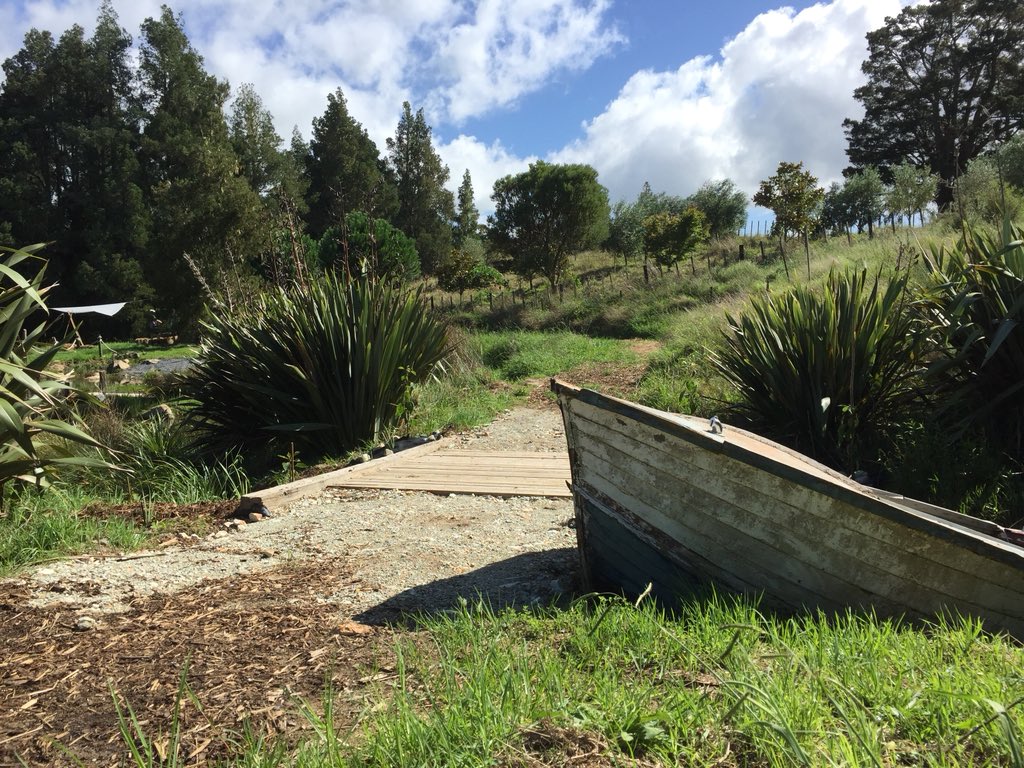 natures_balance's tweet photo. NZ Eco resort and natural swimming lakes regenerated after 2 years growth...ready for the next season  #DowntoEarthNZ https://t.co/nsOp0QsICe