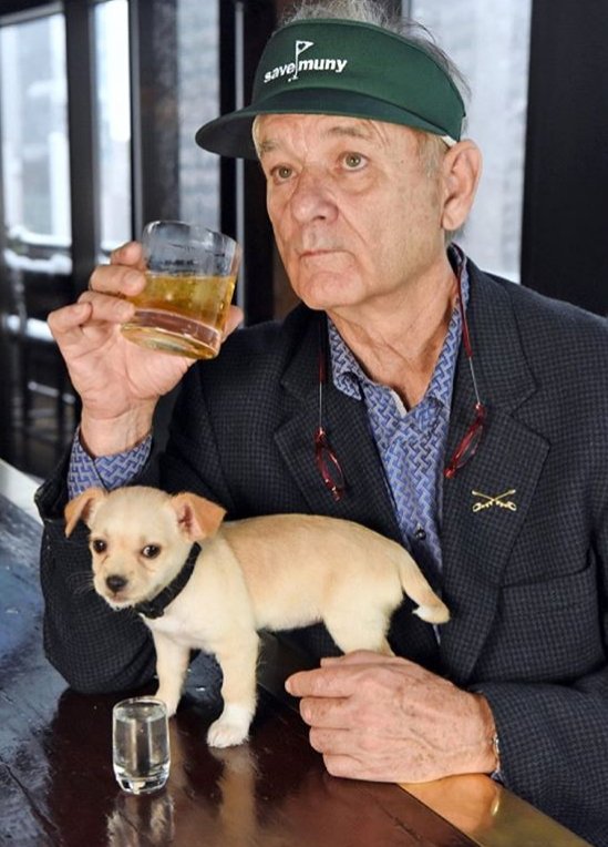 K E I T H D ☼ Y L E tweet media