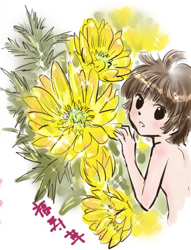 福寿草のtwitterイラスト検索結果