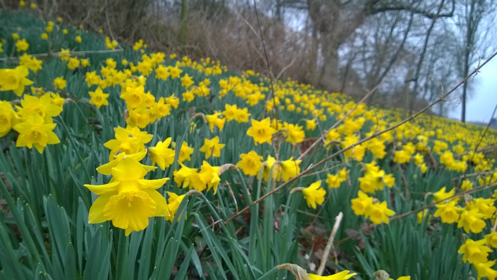 MrRPress's tweet photo. Getting the steps in today. Started with #parkrun followed by a walk around #WinkworthNT. https://t.co/BIw3oqrb3o