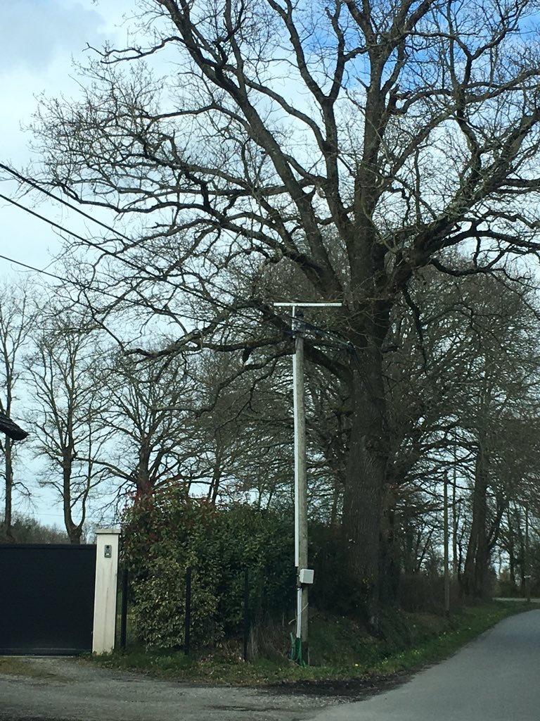 _arnaudr's tweet photo. #bouclelocale Appuis en attente de déploiement fibre https://t.co/96ExyVc8aI