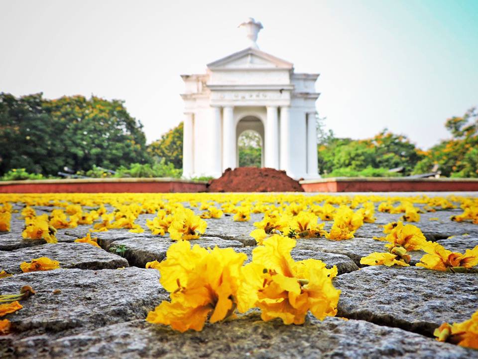 pondytourism's tweet photo. #BharathiPark Glittering with the Yellow Flowers

Like us &amp; Follow us!

Want to get your Photo/Video published here, mail us at

pondytourismofficial@gmail.com

#Pondytourism #Pondicherry #Puducherry #Pondy #PlacestoVisit #ExplorePondy #tourism #sightseeing #Placestovisitpondy https://t.co/3AF9PBoDqj
