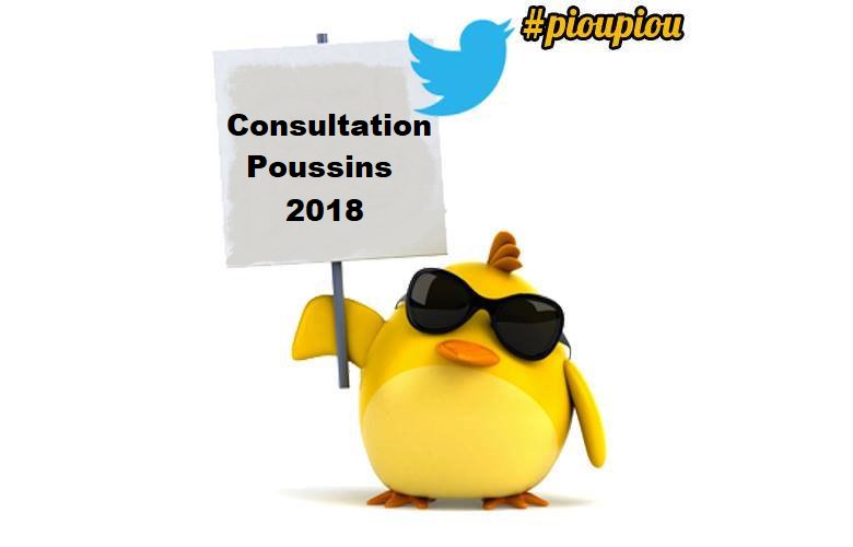 C'est VOUS qui allez décider de l'avenir du Mouvement des Poussins ! Répondez au questionnaire via le lien suivant afin de définir la suite que vous voulez donner à l'aventure des Poussins => bit.ly/2G6Q7ut