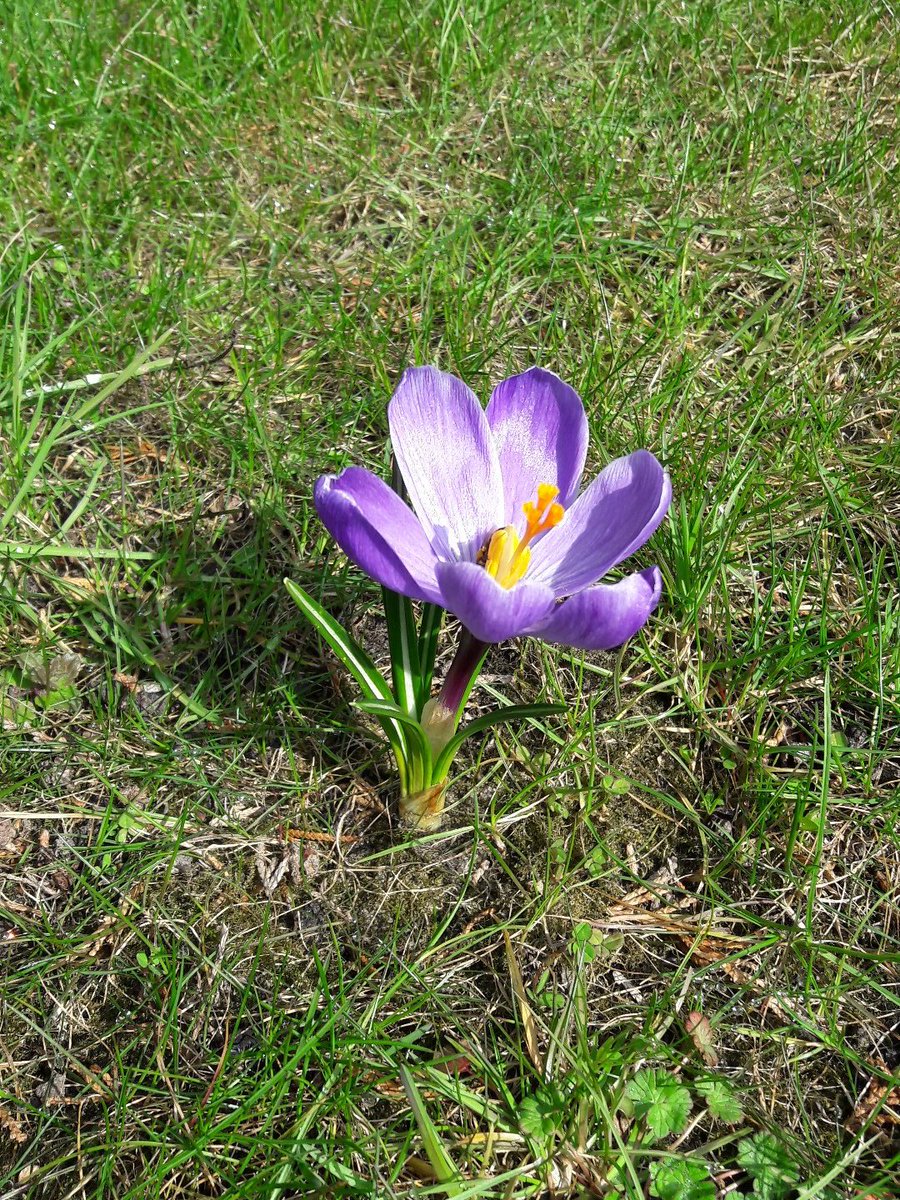 stiz_zi's tweet photo. Gestern noch eiskalter Winter und heute den schönsten Frühling 🌹 Was passiert hier ?😂 Schöner Ferienstart 🥀 https://t.co/84XRp01fRT