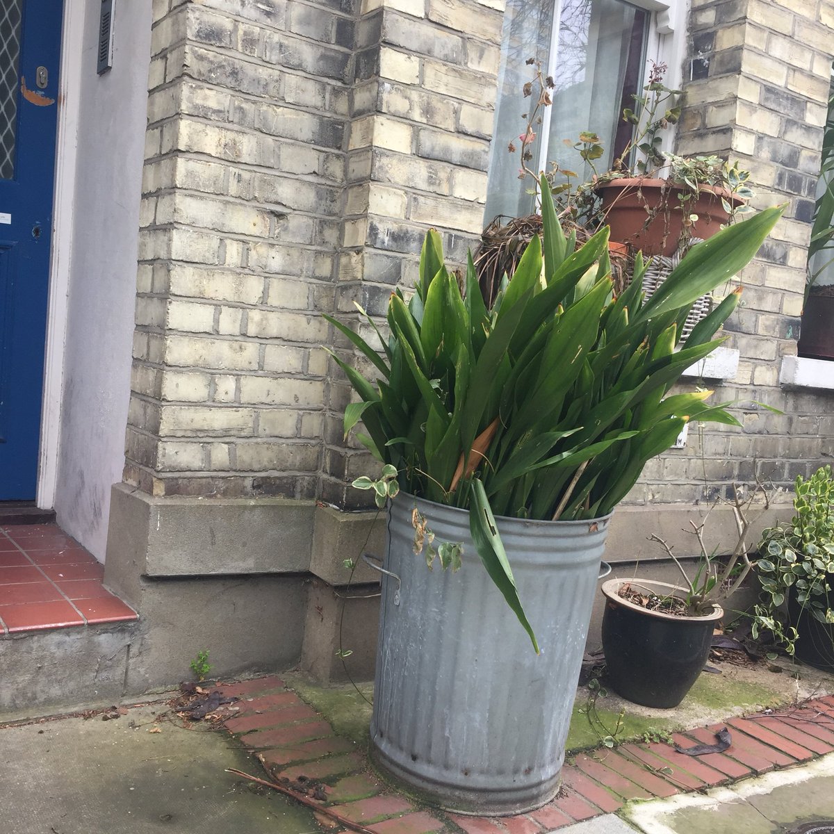 operabinoculars's tweet photo. I got the coolest square in #SouthLondon London on my volunteer leaflet run for @LibDems for London local elections #BonningtonSquare #Oval #ExitFromBrexit #WithEUinSpirit #StopBrexitSaveBritain https://t.co/lIRJyvwP7H
