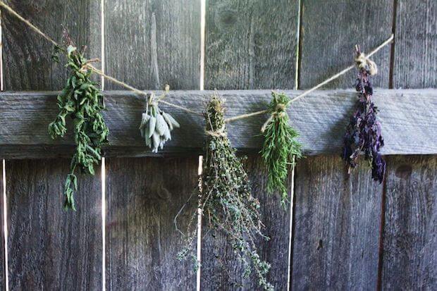 Fresh_Markets's tweet photo. We love the look of dried herbs as decoration (never mind actually using them!)
Here’s what you need to know about different ways of drying herbs. https://t.co/zAzQtPO9hR
#growers #diy #zerowaste #noplastic #decor #FreshLocalMarkets #farmersmarkets #fresh #SAmarkets #organic https://t.co/3qq7y7amb3