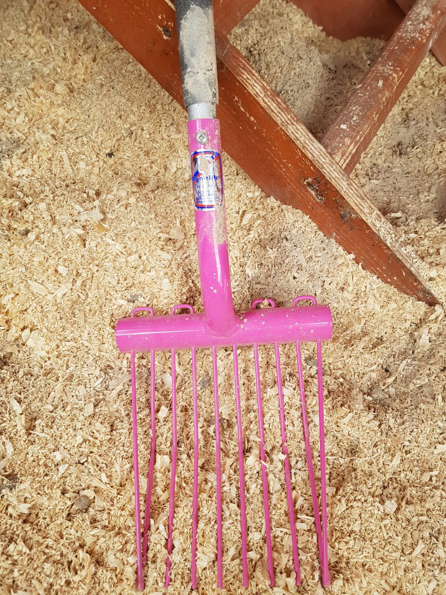 TheFloofLady's tweet photo. @Fynalite1 we have cut down one of your junior mucking out forks so that I can use it to clean out the floofs (chickens). The best tool I have come across.  Thanks so much

#floofs #chickens #teamfloof #thegoodlife https://t.co/ieyDl2dK46