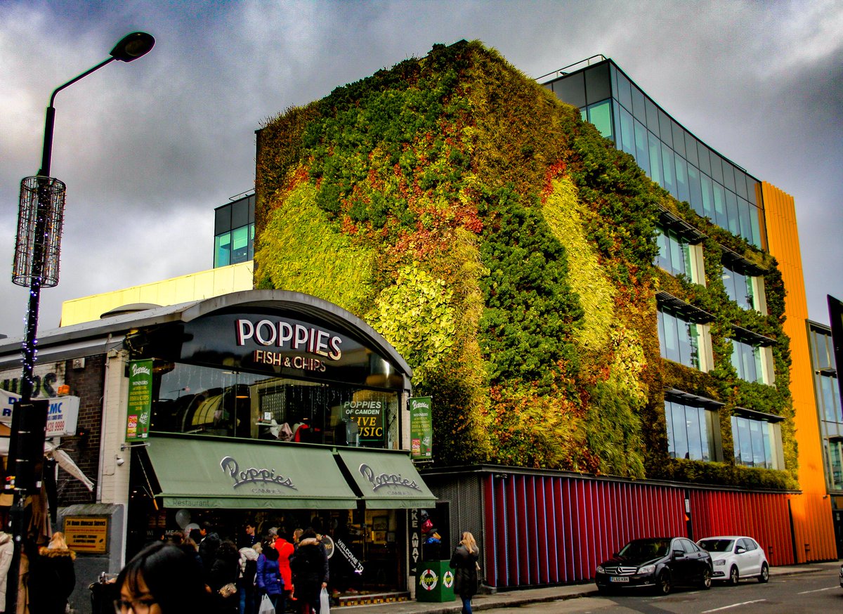 The green wall  in  #Camdentown Canon 40D -ISO 400 - f/3.5 - 22mm - 1/320s #camden #camdenmarket #artistcollective #collective #camdenlock #camdentown #thisislondon #londonlife #visitlondon #londoncity #timeoutlondon #shutup_london #ilovelondon #uk #londonlive  #londoncityworld