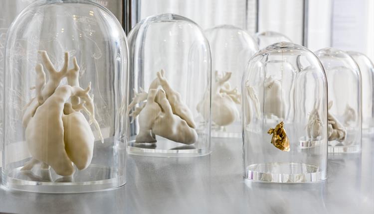 New exhibition opens today at <a href="/GNM_Hancock/">Great North Museum: Hancock</a>: The Heart of the Matter brings together art and medicine to reflect on the human heart. ow.ly/SoZi30j7u5V