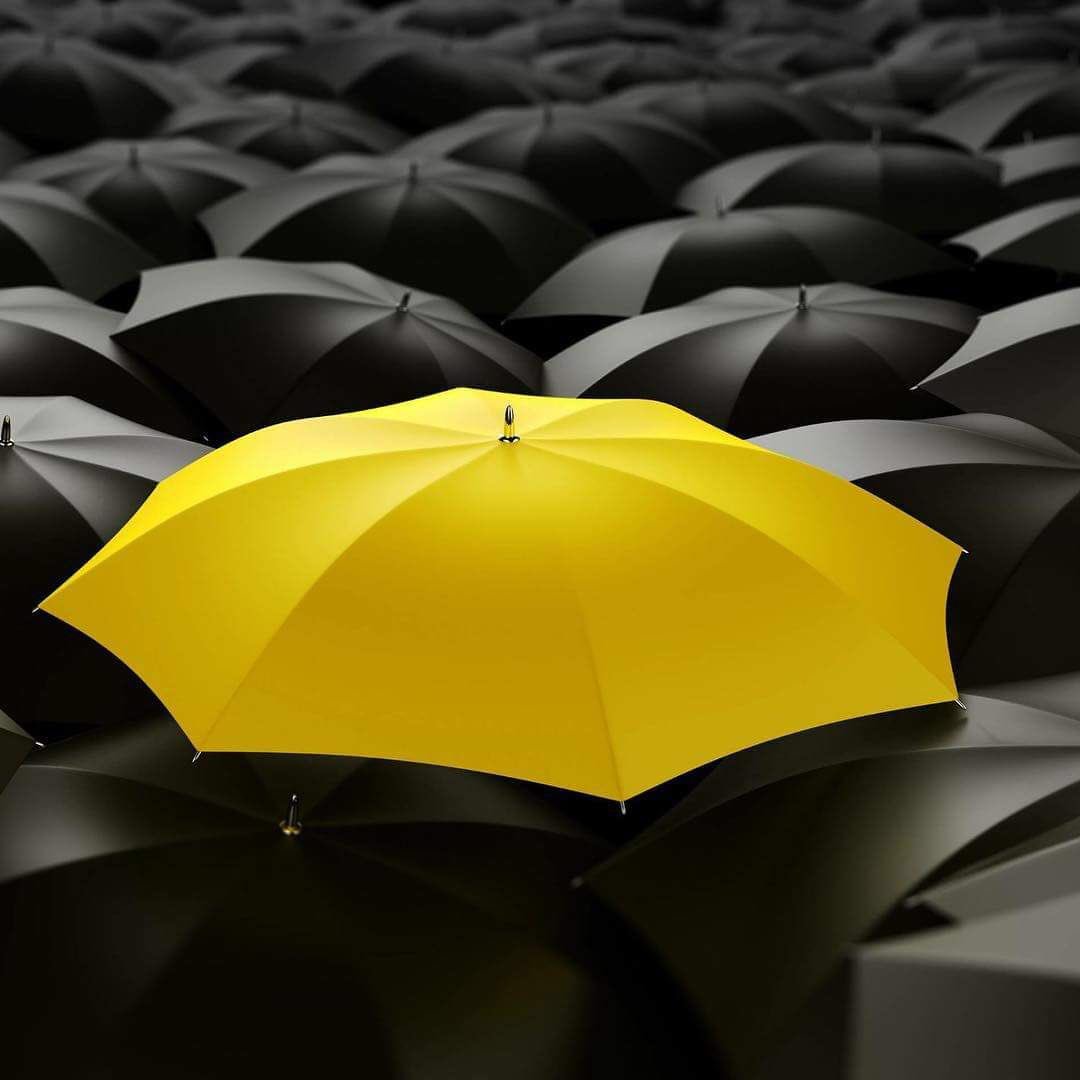 Una imatge val mes k 1000 paraules.  Llibertat !!!