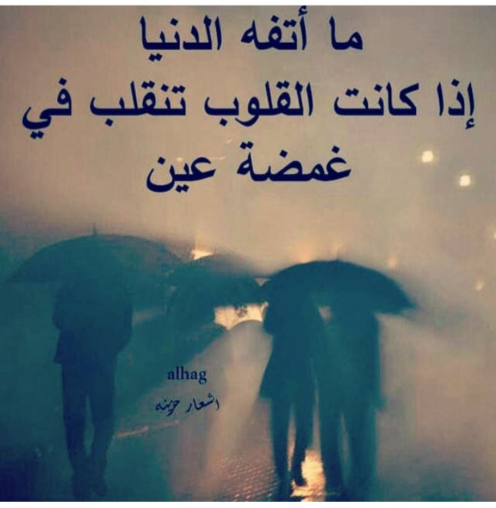 زهرة النرجس (@qhdalidx) on Twitter photo 