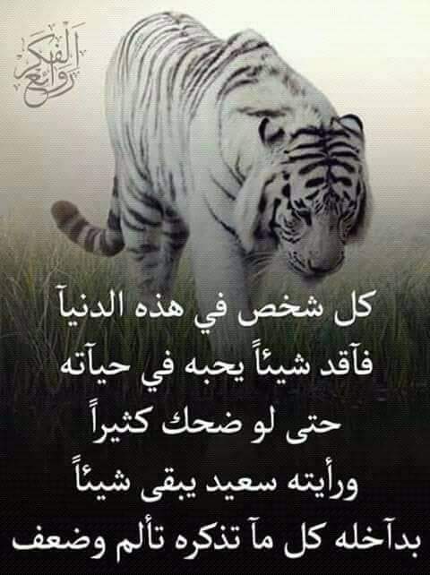 زهرة النرجس (@qhdalidx) on Twitter photo 