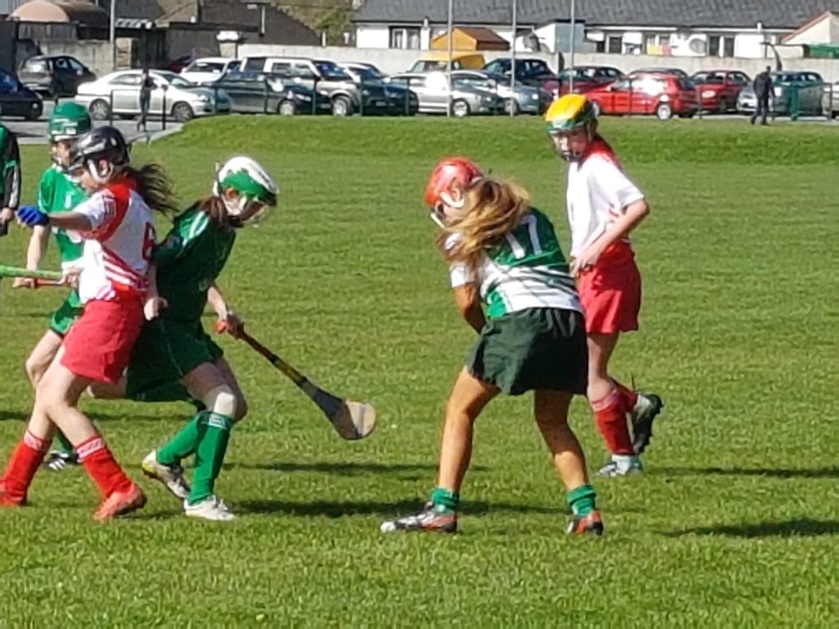 Kilmallock Camogie Club tweet media