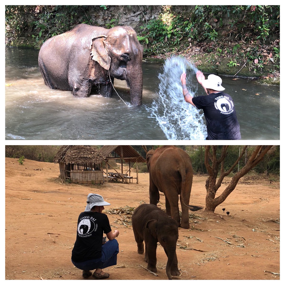 Joe Philipose tweet media