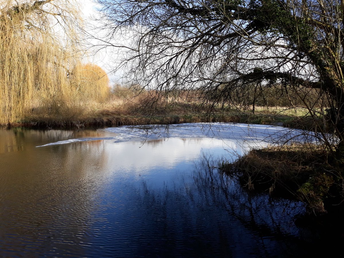 fishthetest's tweet photo. #firstdayofspring2018 what difference a day makes snow, thaw and Spring arrives #trout @fishthetest Pittleworth Lake on The River Test in Hampshire https://t.co/Bftv66PvuI