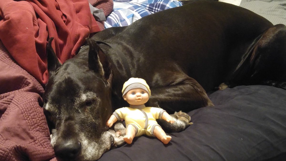 jpeets8's tweet photo. https://t.co/1TovkPgbx4
Jace is recovering from surgery #1. We are so grateful for the generosity we've seen so far and still hopeful we can raise enough to afford the removal of his tumor. And yes he has a creepy baby friend. Lol https://t.co/vK5kZ5xpu8