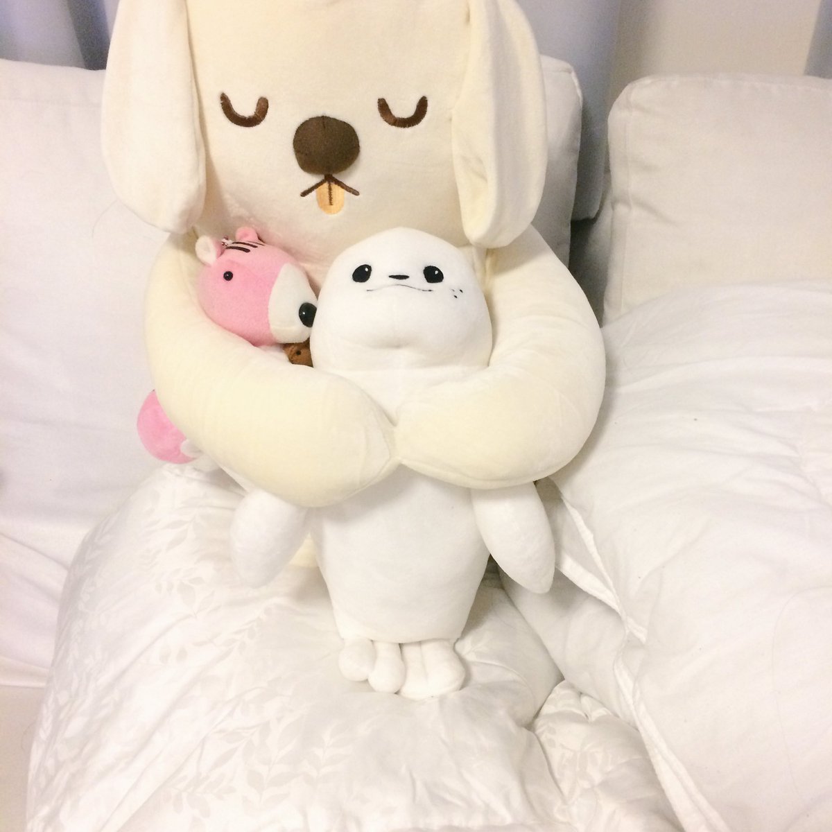 anaht_nam's tweet photo. ใช่ค่ะ ซื้อตุ๊กตาตามผู้ชายค่ะ
องนาเบิล แมวน้ำอง กระรอกอง ครอบครัวพี่องงงง
#물개옹 #워너원 #옹🐿 #옹람쥐 #WANNAONE #ONGSEONGWU #옹성우 #ongnable https://t.co/s28FWzgjCz
