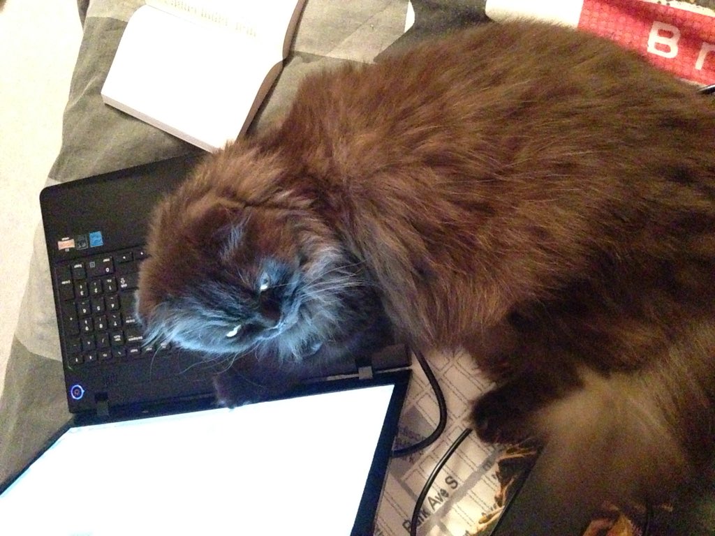 Mariloune's tweet image. I have the same trouble France 😬 &amp;amp; you can see Guilhem is as big as the laptop! 😅 #NeedingHelp ahahha 😘🤗 #Bonjour