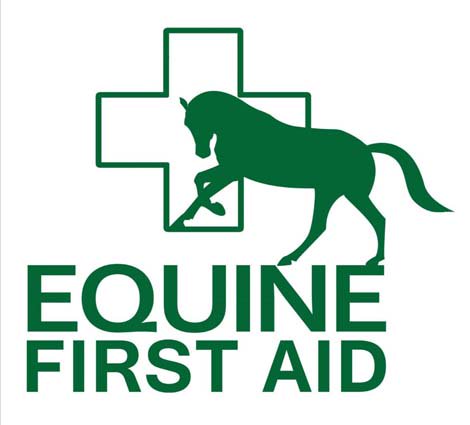 SouthEngShows's tweet photo. Learn how to treat an injured or ill horse @EquineJournal @GatewaytoHorses @NFUCountryside @horseandhound Book your place to learn all about horse first aid in Ardingly on the 12th May 2018 https://t.co/RZ9GKHwsU2 #equinefirstaid #horses #sussex #ardingly https://t.co/H4adXcfg5O