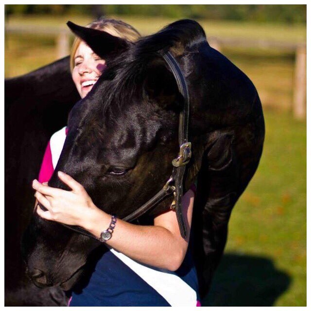 SHDressage's tweet photo. Whoever said diamonds are a girl's best friend never owned a horse. #twohearts #horselove #horsequote https://t.co/yJJ4uRpQiM