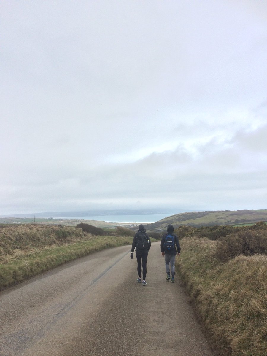 TFC Gold tweet media