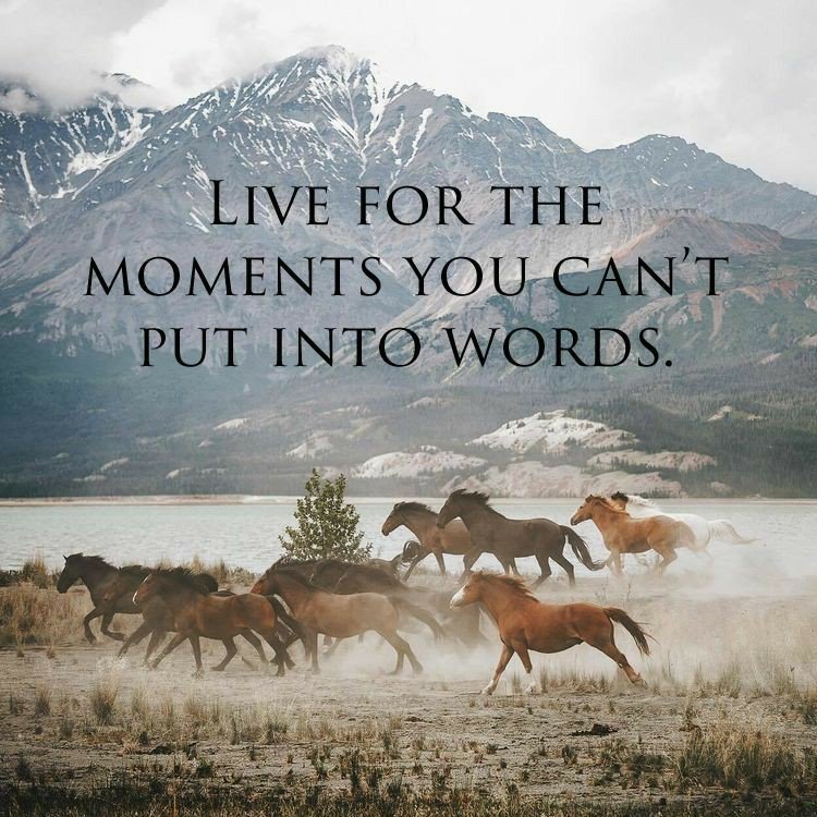 dicdotnet's tweet photo. Start living and stop surviving #TheFuture #MotivationalQuotes @dicdotnetDICDynamic Internet https://t.co/rWPR06c6yF