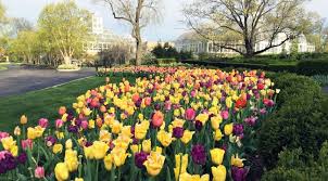 Scotts_MGro's tweet photo. Gardens are transforming communities. TUNE IN NOW to @FPConservatory to hear live more about the power of #gardens and #greenspaces from our #GRO1000 team #WeDigOhio @Kids_Gardening https://t.co/UVSNZTP9Z5