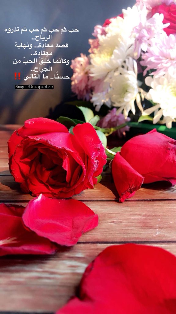 Doaa_Baqader's tweet photo. #الخميس_الونيس #الأخت_الصغيرة #الحب https://t.co/Q0fC6qJ4b8
