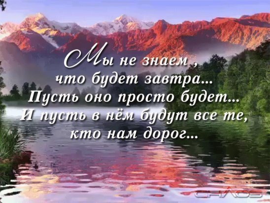 Мудрость веков (@delaisam) on Twitter photo 