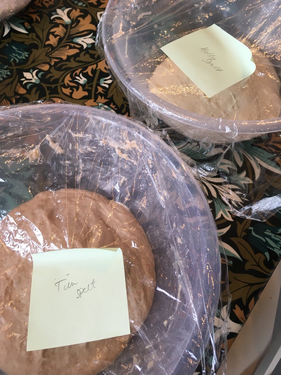 hollyrachparry's tweet image. Lovely morning so far on the #breadmakingcourse @HarborneFS #cookery #bread #cooking #baking