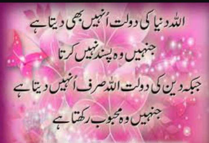 Majid Ali Farooq (@majidfaooq) on Twitter photo 