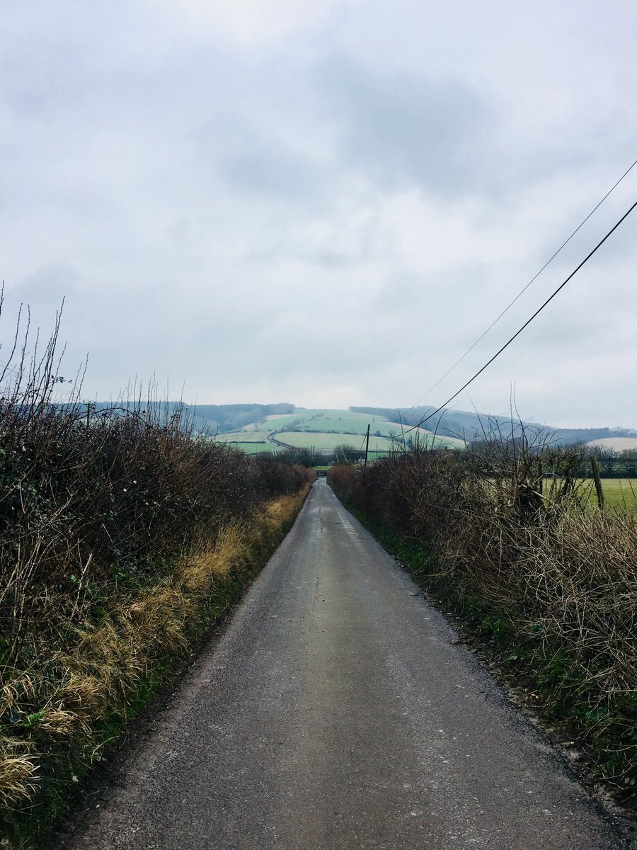 PaulHiggins-Drysdale (@higginsdrysdale) on Twitter photo 