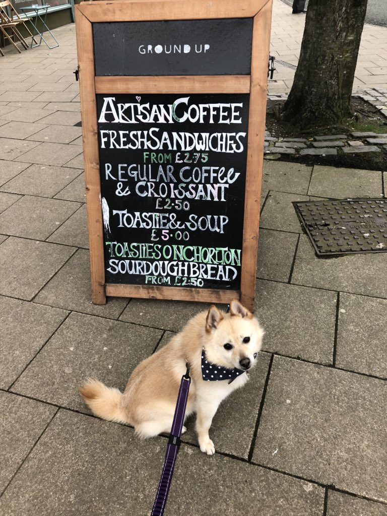 Brodie Dalgliesh tweet media