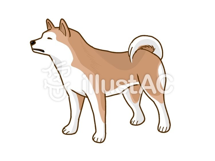 まあぷす 秋田犬 T Co Pjw8axtwwd イラストac 秋田犬 無料素材 犬 イラスト T Co Bvpkpb1cht Twitter