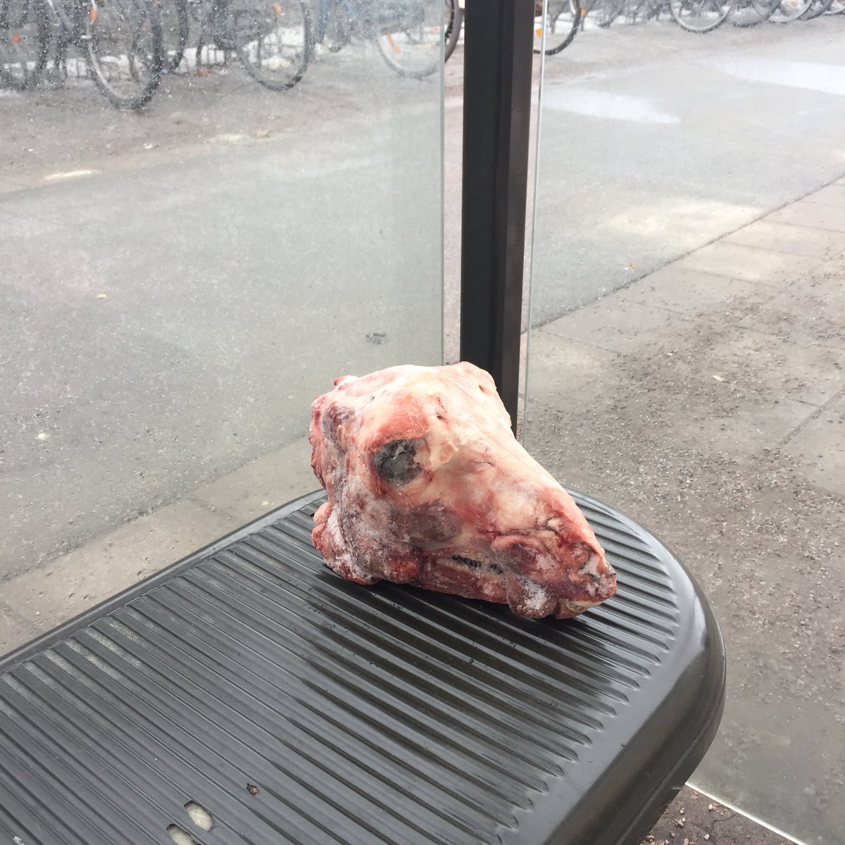 amycookehodgson's tweet photo. My cast mates said theyโd meet me at the bus stop. This is what Iโve been greeted by .... #swimp18 https://t.co/KbLEkq1wJR