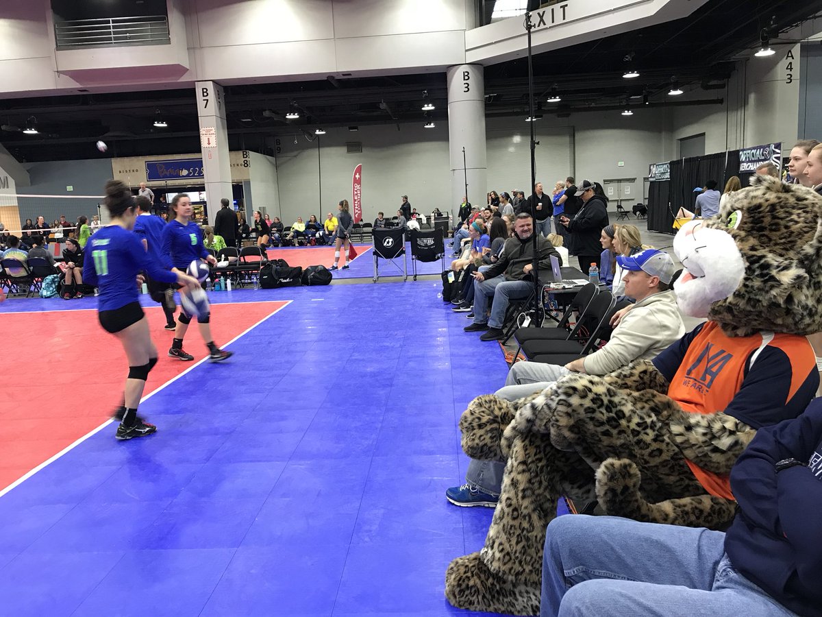 jvavolleyball's tweet image. Thank you to the colleges coaches (and Jinx) scouting the top talent at the #JVABuckeyeBattle @UnivAthlete @NCAAVolleyball @PrepVolleyball
