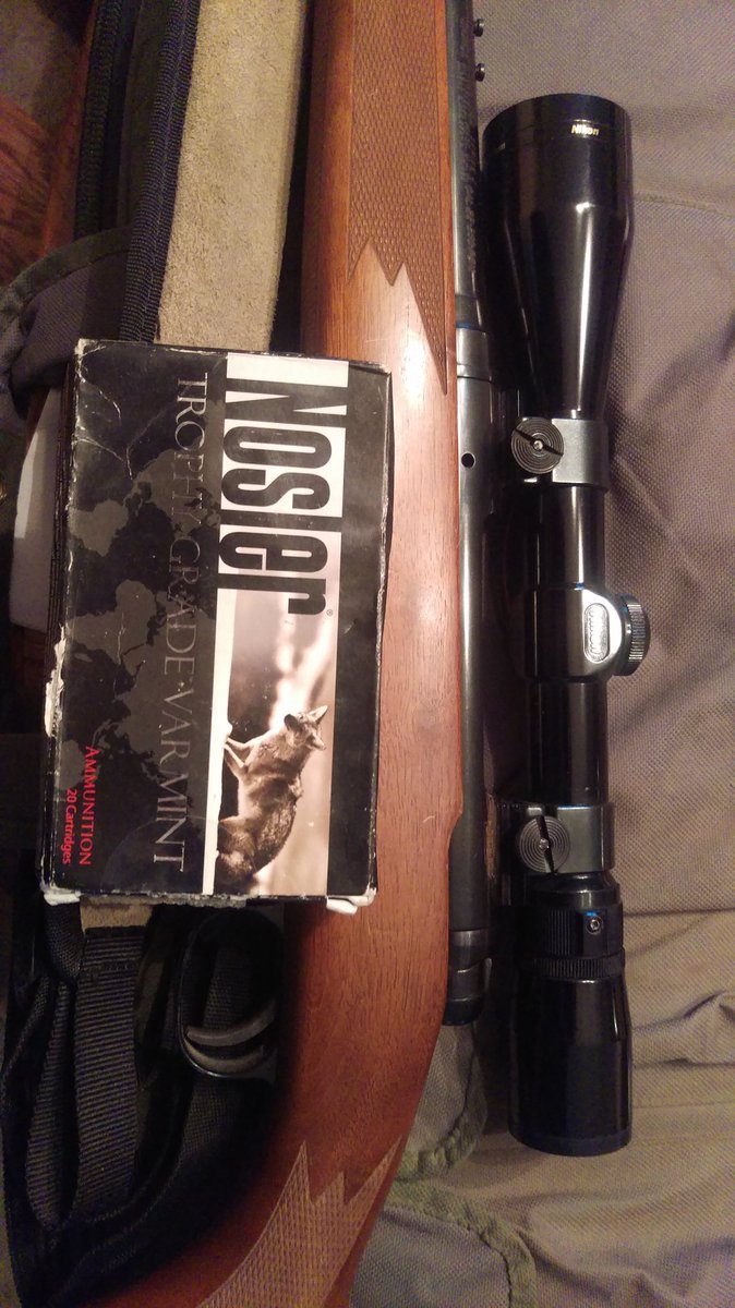 waltonagseed's tweet image. A pair of coyotes were a little too close to the newborn calves yesterday - they better not be there today.  #nosler #savage #predatorcontrol #calving18