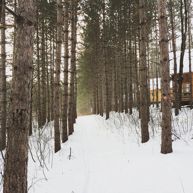 Picture-perfect trail, coffee in hand, mobile phone off, and hiking boots on… That's how we like to disconnect for the weekend! 🌲

📷: @deconome

 Book your woodsy haven today » buff.ly/2FYB9aA