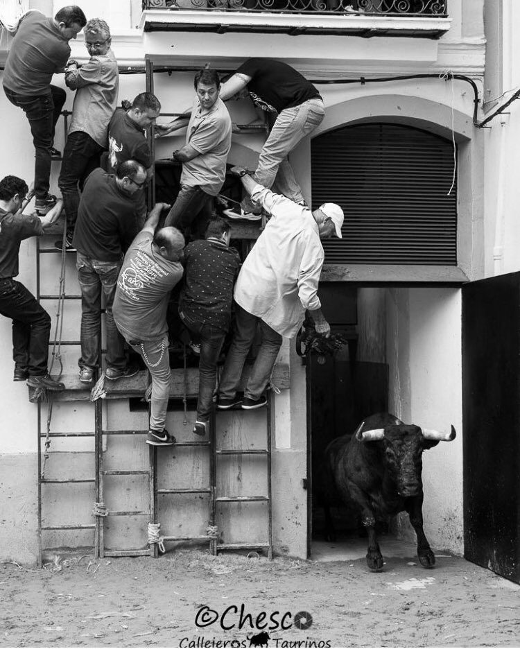 Ivancolomer's tweet photo. Quién no entiende el festejo popular es porque no lo ha vivido. https://t.co/7Jw35DJHNr