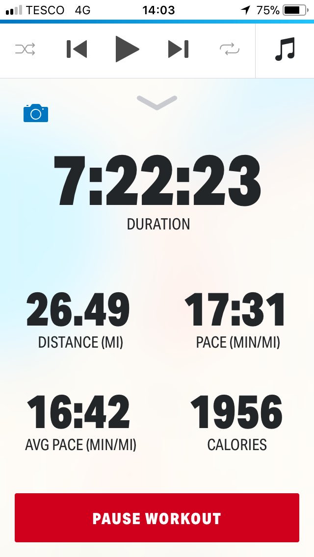 TFC Gold tweet media