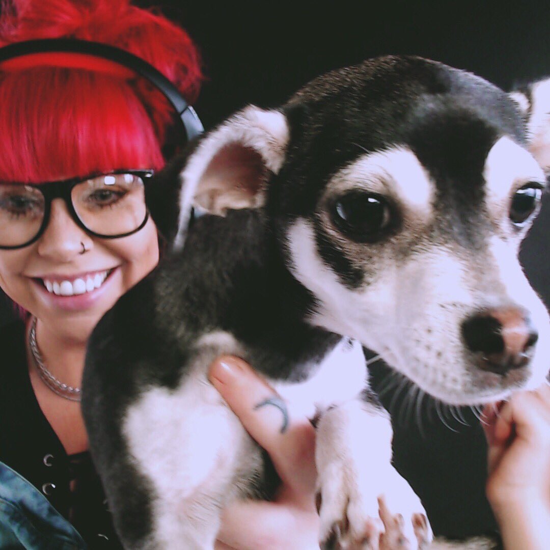 killlertv's tweet image. Yesterday was national puppy day or something. But I decided not to post because you’re way more then that to us. You’re not a puppy. You’re my daughter. You’re E’s sister. You’re our family. ❤️ #NationalPuppyDay but really #NationalDaughterDay.